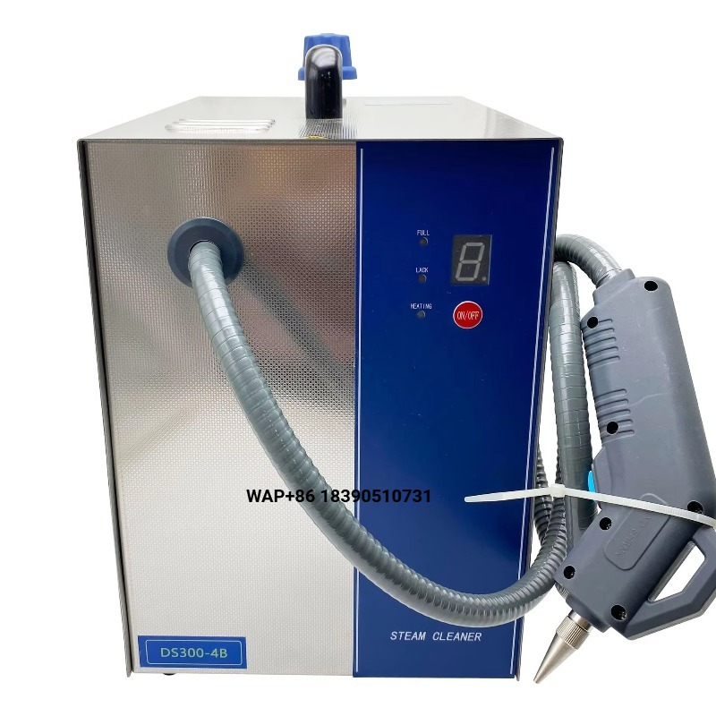 DS300-4B 고압 스팀 클리너, 4KG 스팀 압력, - Body Jewelry For You 리뷰 및 가격
